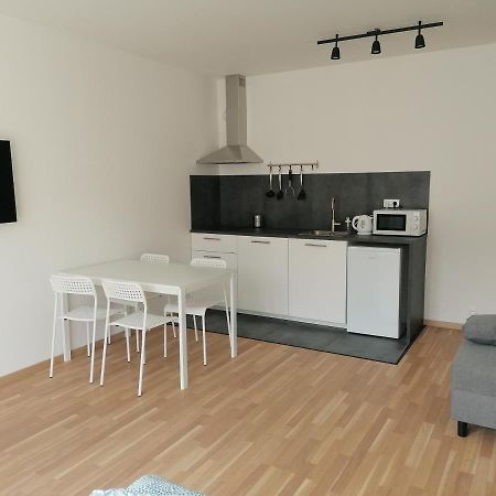 Brand New Studio Apartment #51 With Free Secure Parking In The Center 布拉格 外观 照片