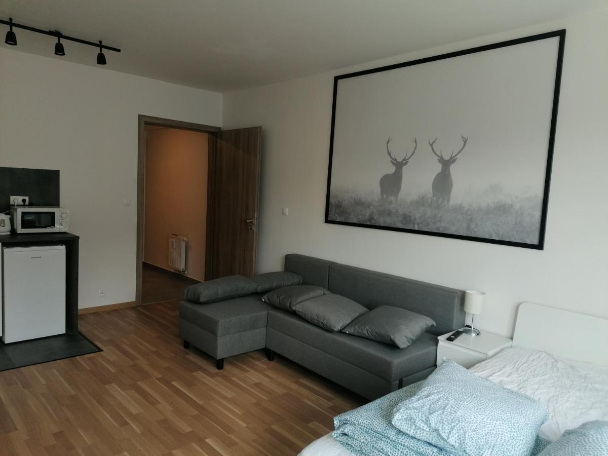 Brand New Studio Apartment #51 With Free Secure Parking In The Center 布拉格 外观 照片